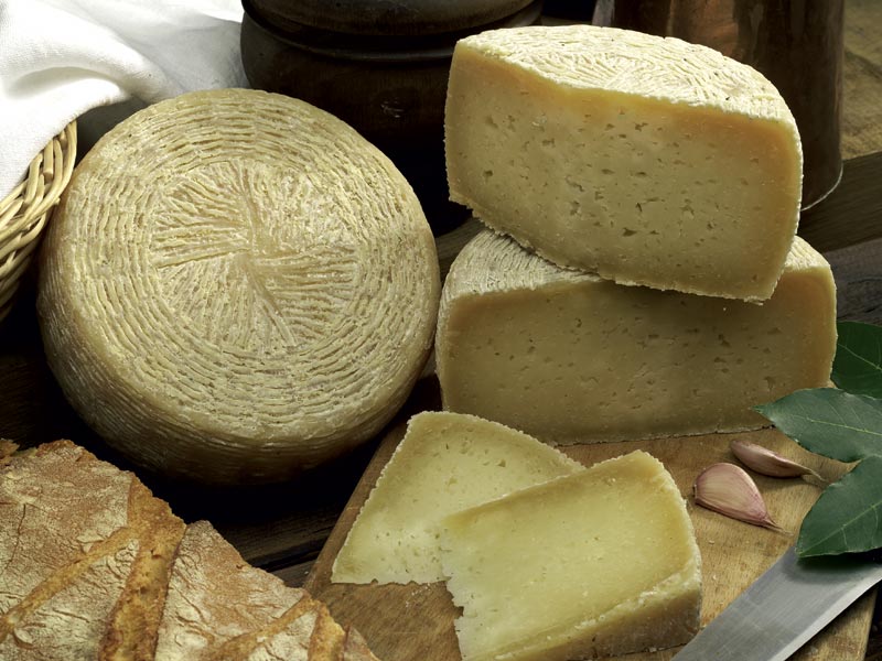 Il Pecorino Canestrato di Castel del Monte