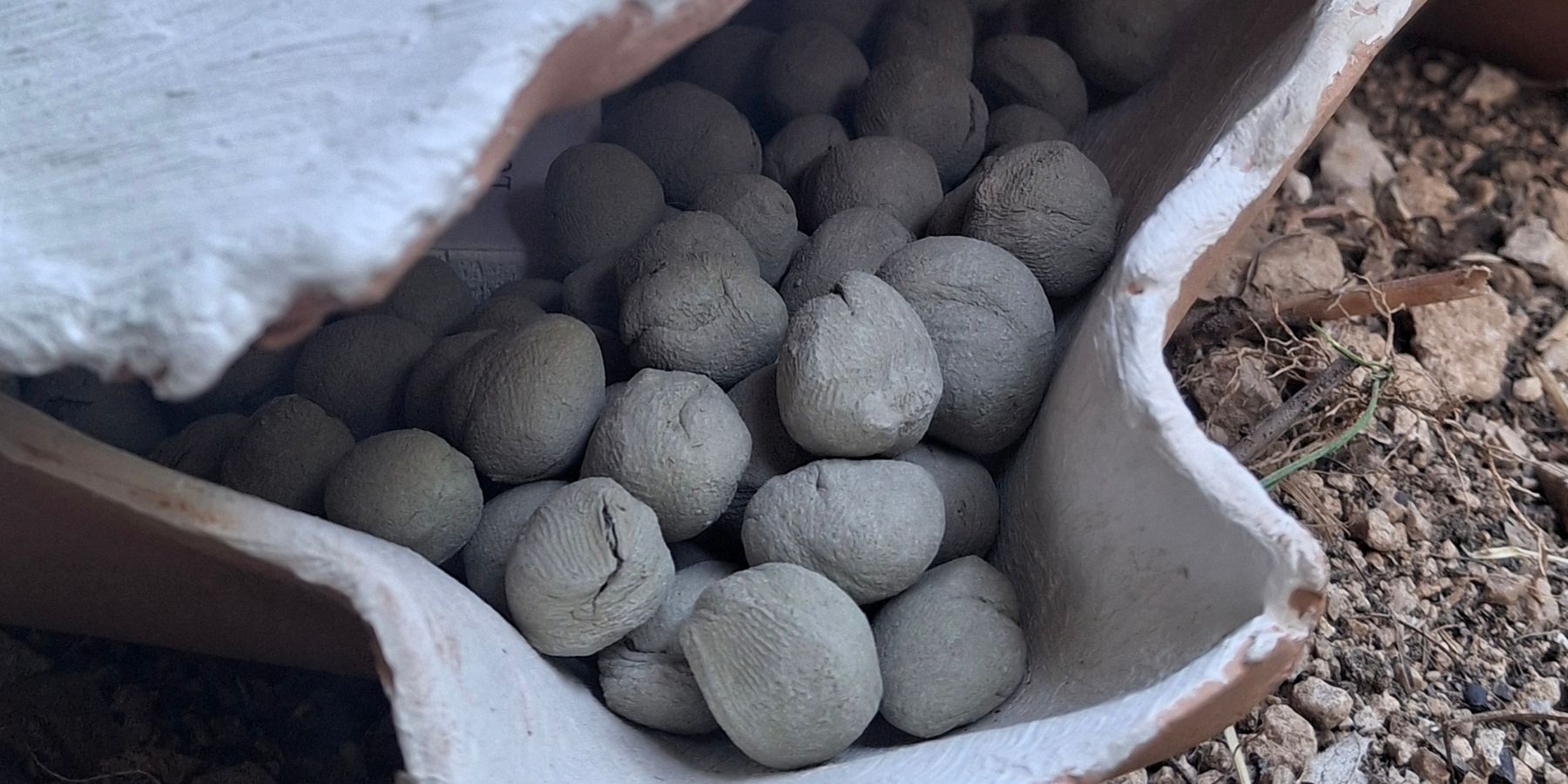"Germogliati semi – Omaggio a Joseph Beuys", installazioni all'Orto Botanico di Collemaggio, L'Aquila, Seminiamo Arte VI edizione 2026